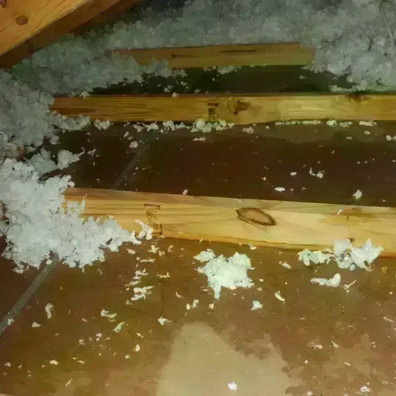 Attic Water Damage in South Uniontown, PA